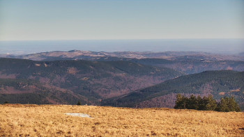 Snímek 6.11.2025 v 11:05