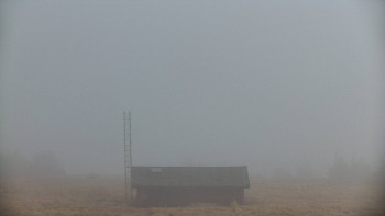 Snímek 7.11.2025 v 09:15