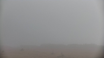 Snímek 7.11.2025 v 09:35