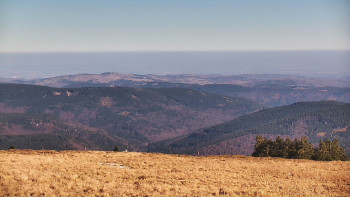 Snímek 7.11.2025 v 12:00