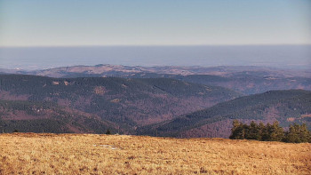 Snímek 7.11.2025 v 12:05