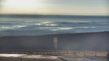 Snímek 8.11.2025 v 07:55