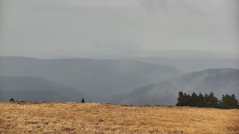 Snímek 8.11.2025 v 13:15