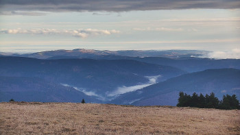 Snímek    9.11.2025 v 08:00