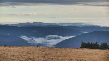 Snímek    9.11.2025 v 08:10