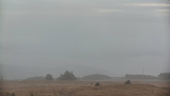 Snímek 9.11.2025 v 08:35