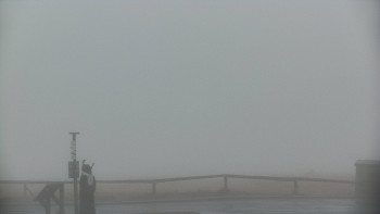 Snímek 17.11.2025 v 08:50