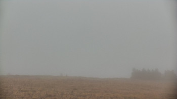 Snímek 17.11.2025 v 10:50