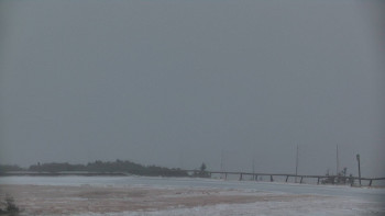 Snímek 17.11.2025 v 16:20