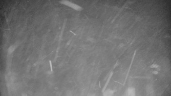 Snímek 17.11.2025 v 17:20