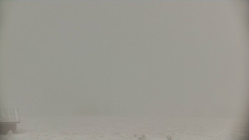 Snímek    18.11.2025 v 11:30