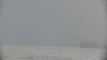 Snímek 18.11.2025 v 12:00