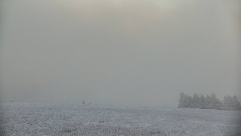 Snímek    18.11.2025 v 15:00