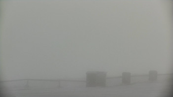 Snímek    19.11.2025 v 11:05