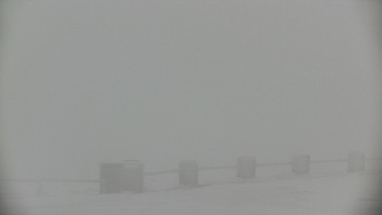 Snímek 20.11.2025 v 12:15