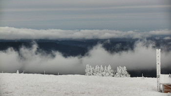 Snímek    21.11.2025 v 08:45