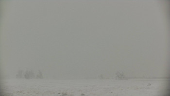 Snímek    24.11.2025 v 11:45