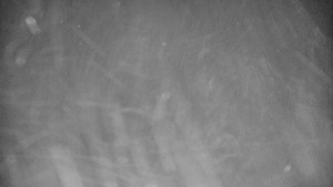 Praděd - Vysílač - Praděd - Vysílač - 26.11.2025 v 00:00 Praděd - Vysílač - Praděd - Vysílač - 26.11.2025 v 00:00