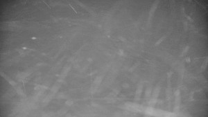 Praděd - Vysílač - Praděd - Vysílač - 26.11.2025 v 00:50 Praděd - Vysílač - Praděd - Vysílač - 26.11.2025 v 00:50