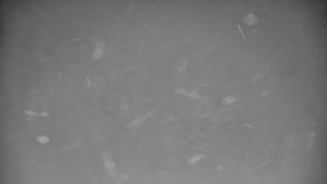 Praděd - Vysílač - Praděd - Vysílač - 26.11.2025 v 00:55 Praděd - Vysílač - Praděd - Vysílač - 26.11.2025 v 00:55