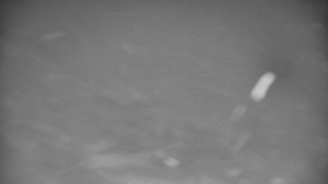 Praděd - Vysílač - Praděd - Vysílač - 26.11.2025 v 01:00 Praděd - Vysílač - Praděd - Vysílač - 26.11.2025 v 01:00