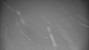 Praděd - Vysílač - Praděd - Vysílač - 26.11.2025 v 02:10 Praděd - Vysílač - Praděd - Vysílač - 26.11.2025 v 02:10