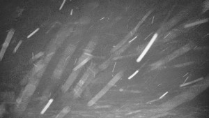 Praděd - Vysílač - Praděd - Vysílač - 26.11.2025 v 02:15 Praděd - Vysílač - Praděd - Vysílač - 26.11.2025 v 02:15