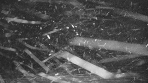 Praděd - Vysílač - Praděd - Vysílač - 26.11.2025 v 02:20 Praděd - Vysílač - Praděd - Vysílač - 26.11.2025 v 02:20