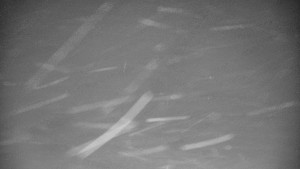 Praděd - Vysílač - Praděd - Vysílač - 26.11.2025 v 02:25 Praděd - Vysílač - Praděd - Vysílač - 26.11.2025 v 02:25