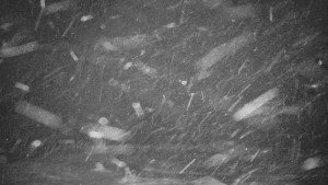 Praděd - Vysílač - Praděd - Vysílač - 26.11.2025 v 02:30 Praděd - Vysílač - Praděd - Vysílač - 26.11.2025 v 02:30