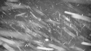 Praděd - Vysílač - Praděd - Vysílač - 26.11.2025 v 02:35 Praděd - Vysílač - Praděd - Vysílač - 26.11.2025 v 02:35