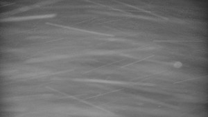 Praděd - Vysílač - Praděd - Vysílač - 30.12.2025 v 01:30