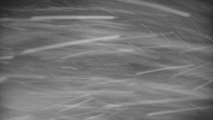 Praděd - Vysílač - Praděd - Vysílač - 30.12.2025 v 01:40