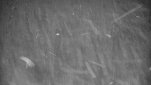 Praděd - Vysílač - Praděd - Vysílač - 30.12.2025 v 02:40