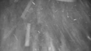 Praděd - Vysílač - Praděd - Vysílač - 30.12.2025 v 02:45