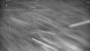 Praděd - Vysílač - Praděd - Vysílač - 30.12.2025 v 02:50