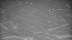 Praděd - Vysílač - Praděd - Vysílač - 30.12.2025 v 04:05