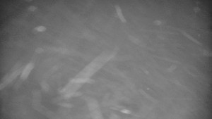 Praděd - Vysílač - Praděd - Vysílač - 30.12.2025 v 04:40