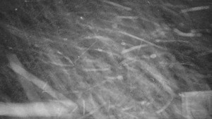 Praděd - Vysílač - Praděd - Vysílač - 30.12.2025 v 05:05