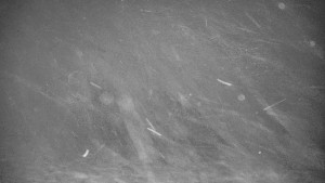 Praděd - Vysílač - Praděd - Vysílač - 30.12.2025 v 05:40