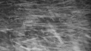 Praděd - Vysílač - Praděd - Vysílač - 30.12.2025 v 05:45