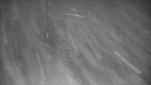 Praděd - Vysílač - Praděd - Vysílač - 30.12.2025 v 05:50