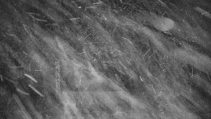 Praděd - Vysílač - Praděd - Vysílač - 30.12.2025 v 06:05