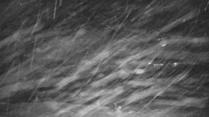 Praděd - Vysílač - Praděd - Vysílač - 30.12.2025 v 06:25