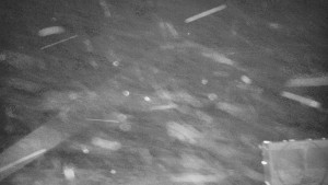 Praděd - Vysílač - Praděd - Vysílač - 30.12.2025 v 06:30