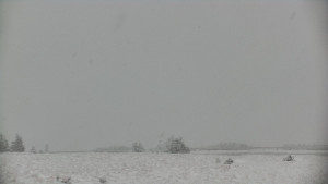 Praděd - Vysílač - Praděd - Vysílač - 30.12.2025 v 14:45