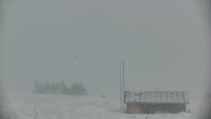 Praděd - Vysílač - Praděd - Vysílač - 30.12.2025 v 15:00