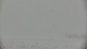 Praděd - Vysílač - Praděd - Vysílač - 30.12.2025 v 15:10