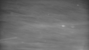 Praděd - Vysílač - Praděd - Vysílač - 30.12.2025 v 16:50