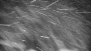 Praděd - Vysílač - Praděd - Vysílač - 30.12.2025 v 17:55